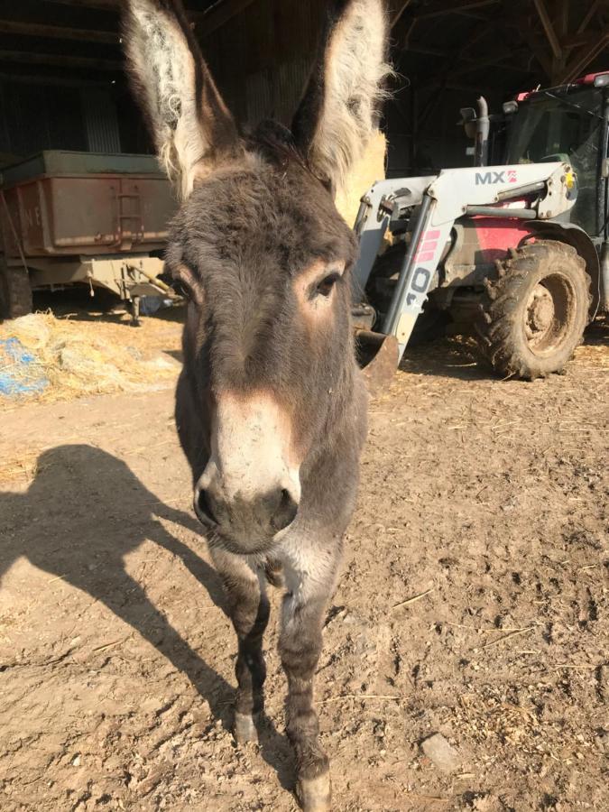 La Cle Des Champs Villa Acheux-en-Vimeu Kültér fotó
